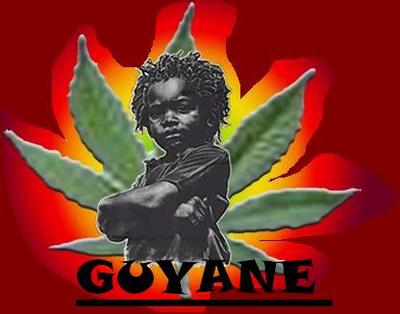 movéé rasta pliss fosssss
